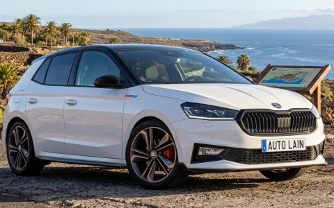 Location Skoda Fabia Automatic à La Palma